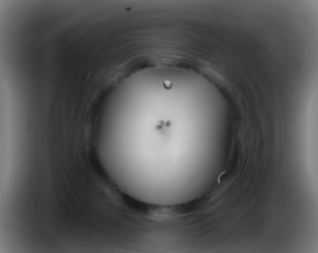 X0000086300079200704201951