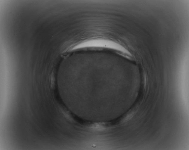 X0000086300080200704201951