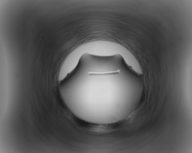 X0000086300082200704201951