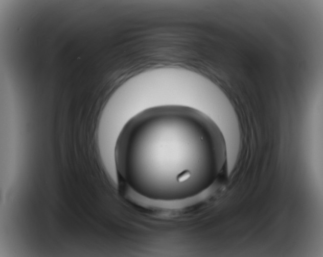 X0000086300084200704201951