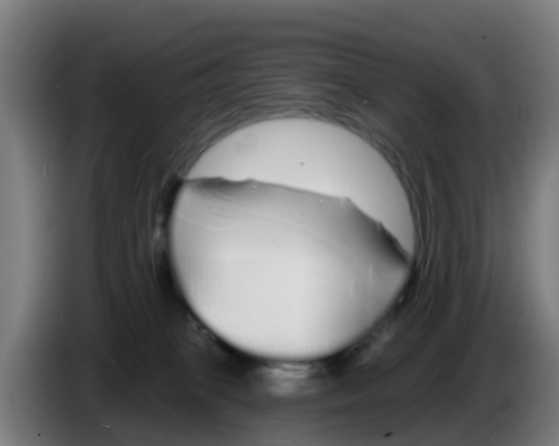 X0000086300085200704201951