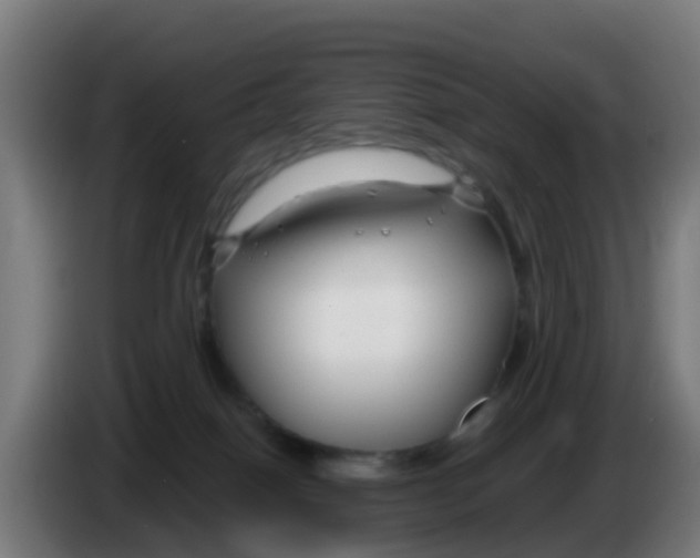 X0000086300086200704201951