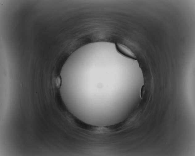 X0000086300087200704201951