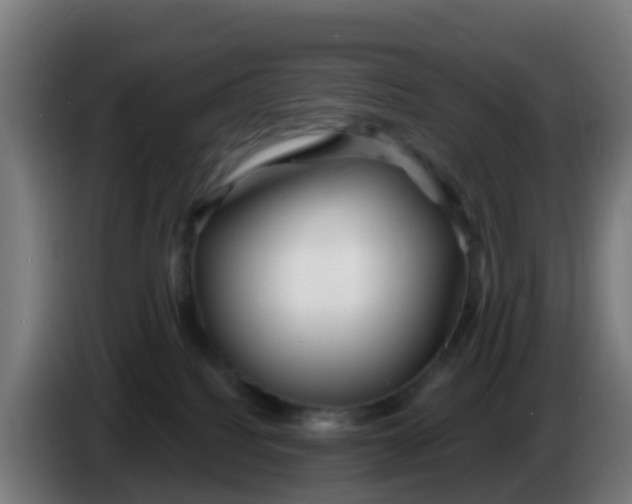 X0000086300088200704201951