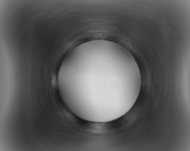 X0000086300089200704201951