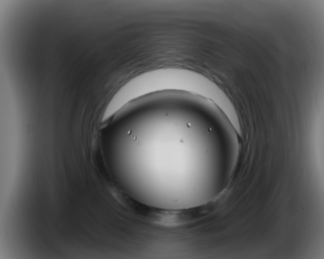 X0000086300090200704201951