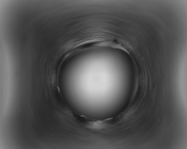 X0000086300092200704201951