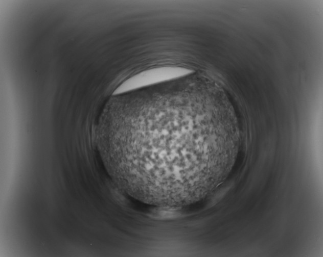 X0000086300093200704201951