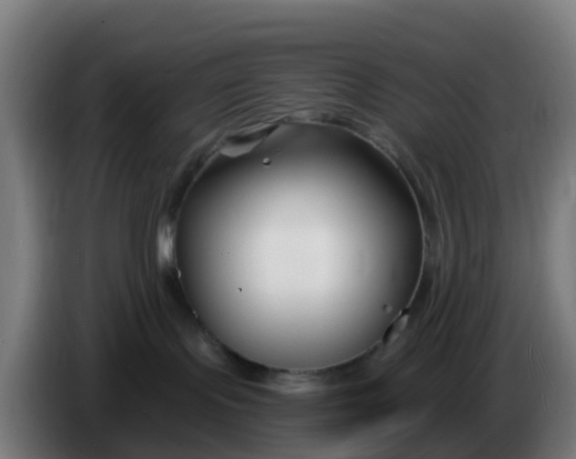 X0000086300095200704201951