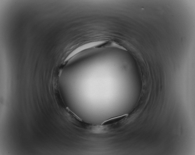 X0000086300096200704201951