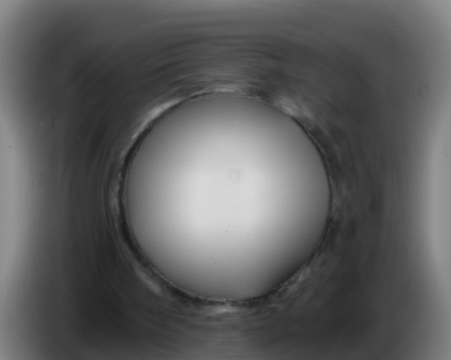 X0000086300098200704201950