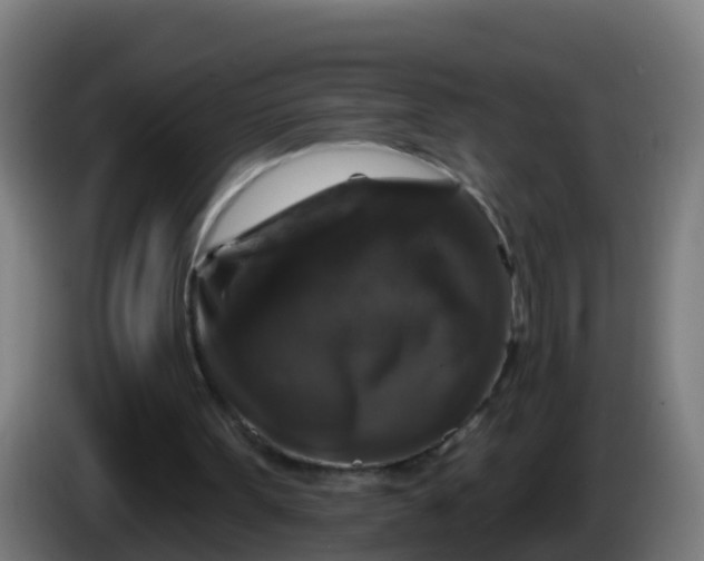 X0000086300099200704201950