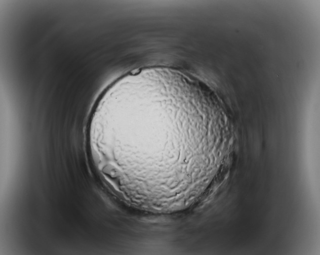 X0000086300100200704201950