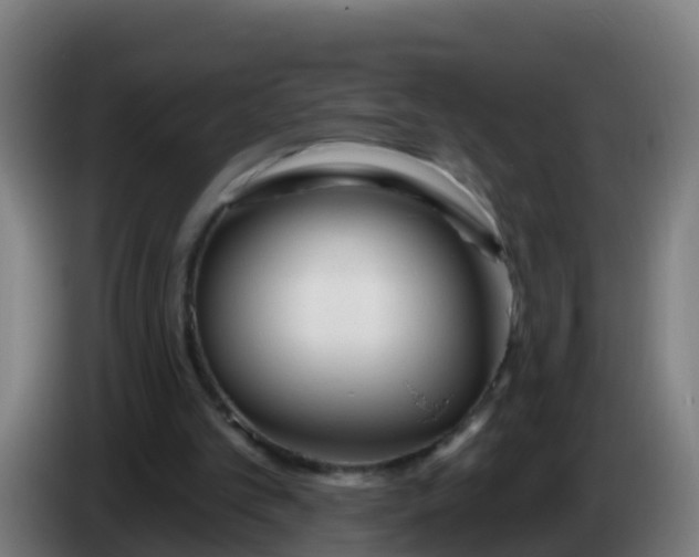 X0000086300101200704201950