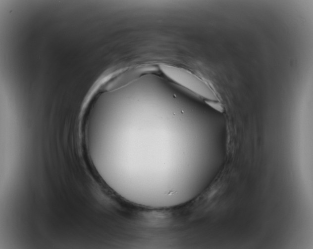 X0000086300102200704201950