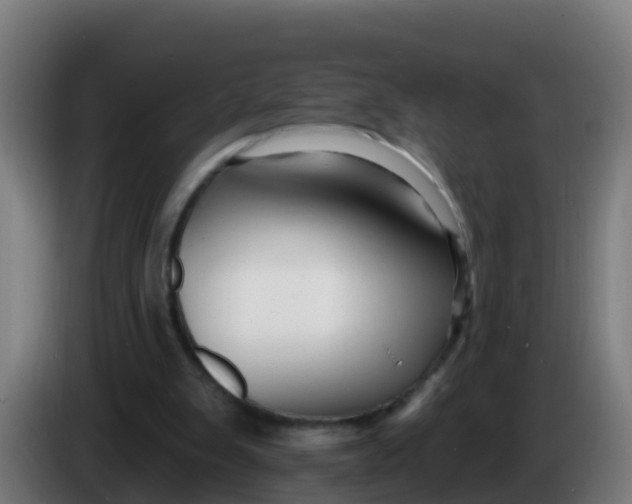 X0000086300103200704201950