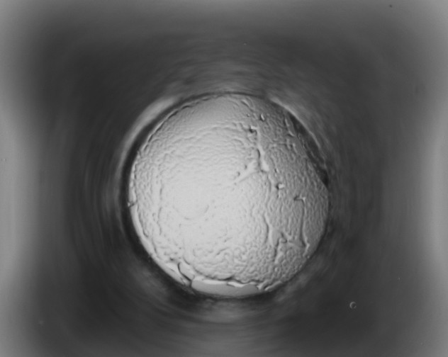 X0000086300104200704201950