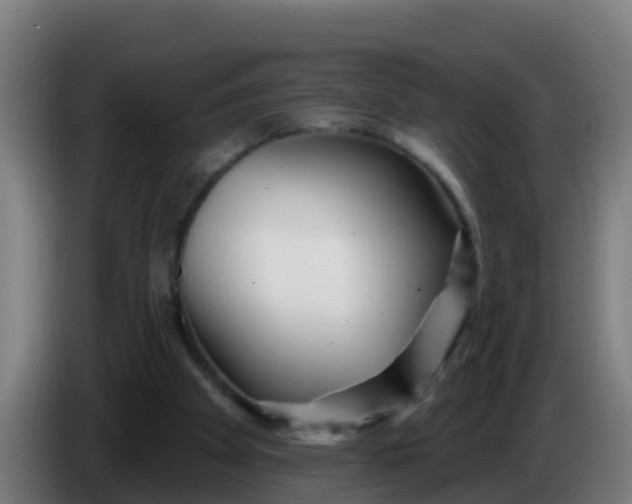 X0000086300105200704201950