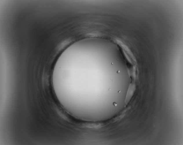 X0000086300106200704201950