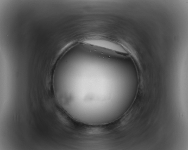 X0000086300107200704201950