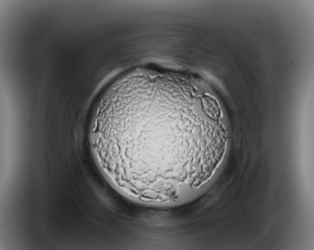 X0000086300108200704201950