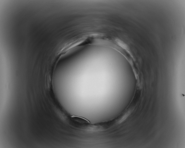 X0000086300109200704201950