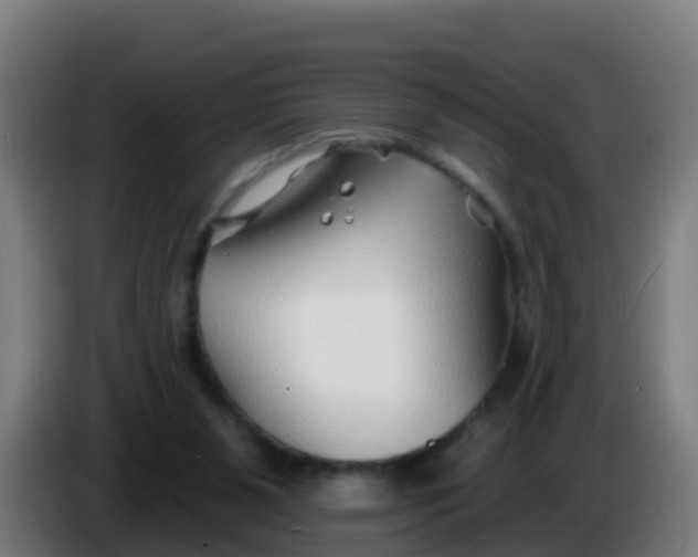 X0000086300111200704201950