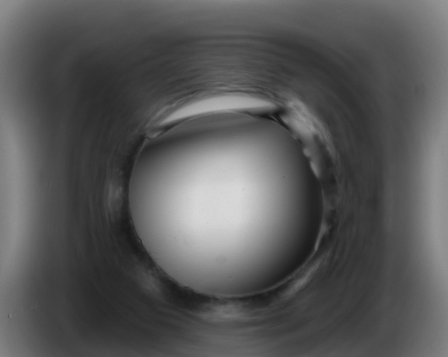 X0000086300113200704201950