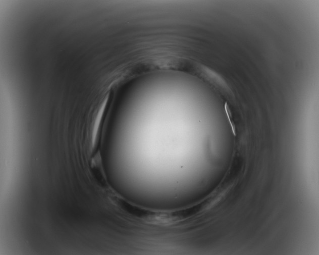 X0000086300121200704201950