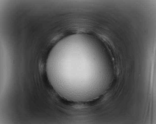 X0000086300123200704201950