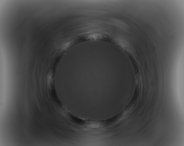 X0000086300127200704201950