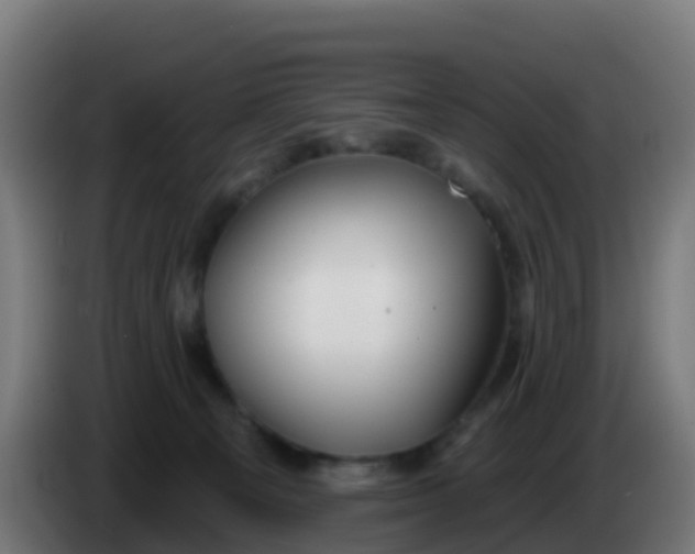 X0000086300129200704201950