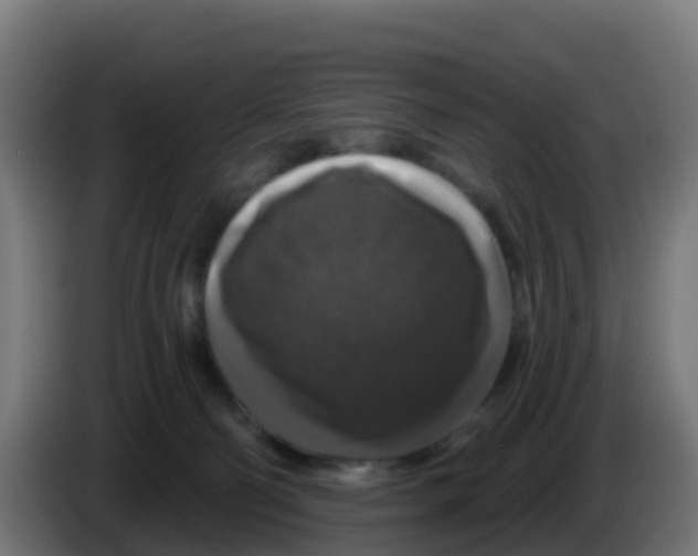 X0000086300130200704201950