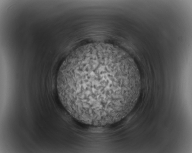 X0000086300131200704201950