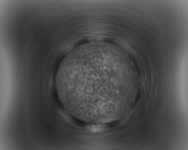 X0000086300134200704201950