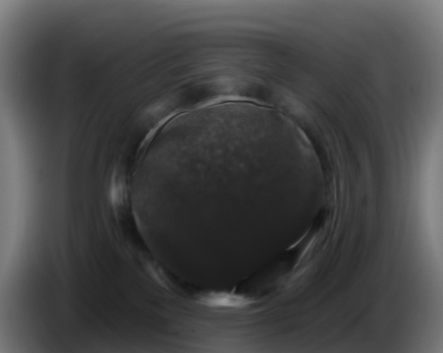 X0000086300137200704201950