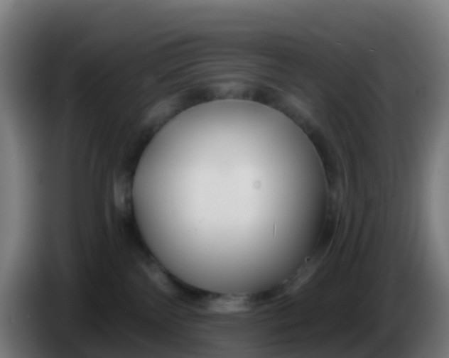 X0000086300138200704201950