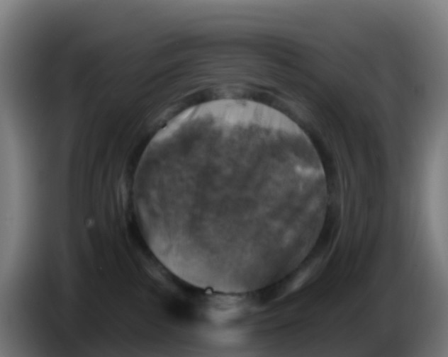 X0000086300139200704201950