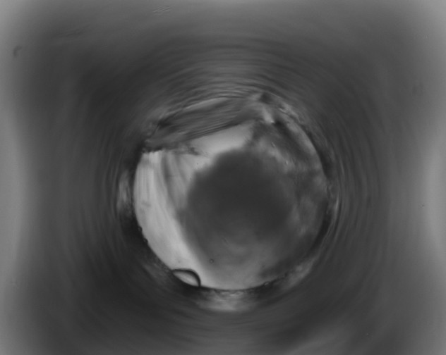 X0000086300143200704201950