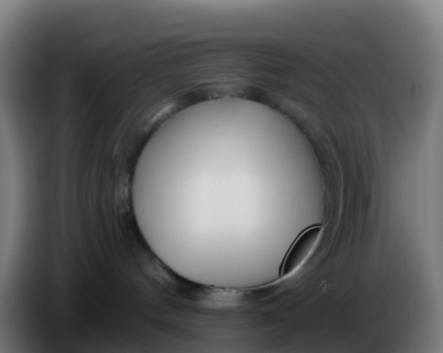 X0000086300144200704201950