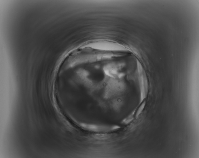 X0000086300145200704201949