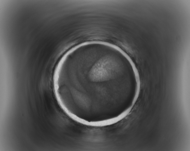 X0000086300146200704201949