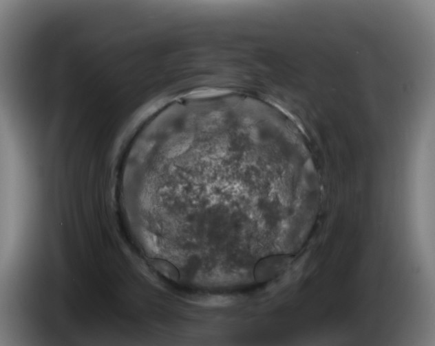 X0000086300149200704201949