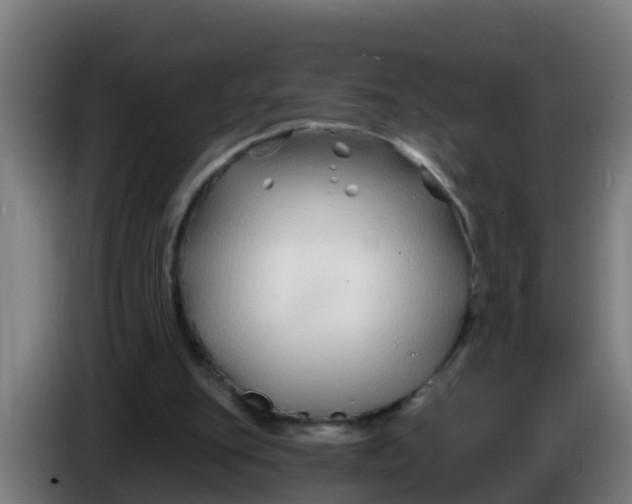 X0000086300151200704201949