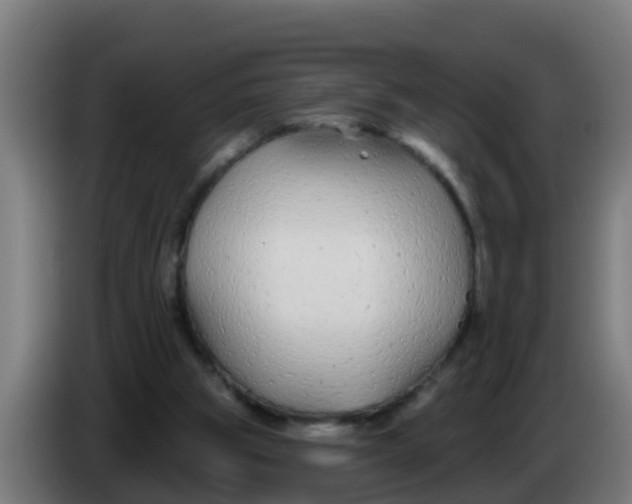 X0000086300153200704201949