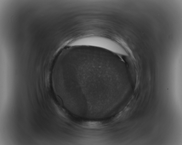 X0000086300154200704201949