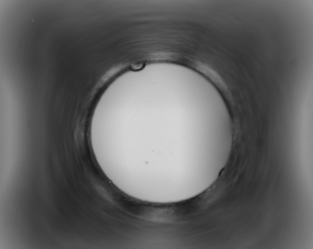 X0000086300155200704201949