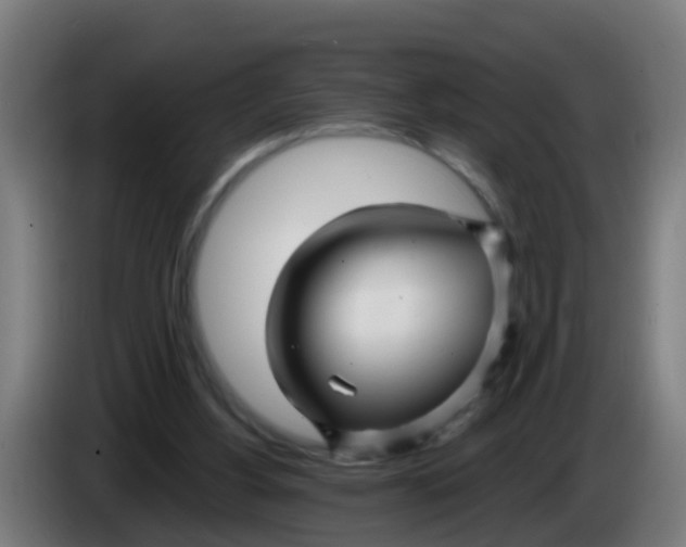 X0000086300156200704201949