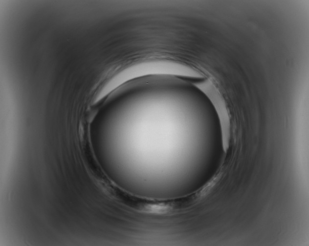 X0000086300158200704201949