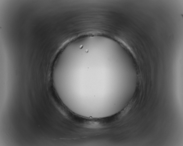 X0000086300159200704201949